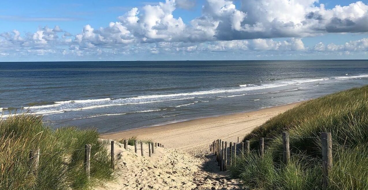 afbeelding van whatsapp op 2024 06 17 om 14.09.49 ab157338 e1761238574382.jpg