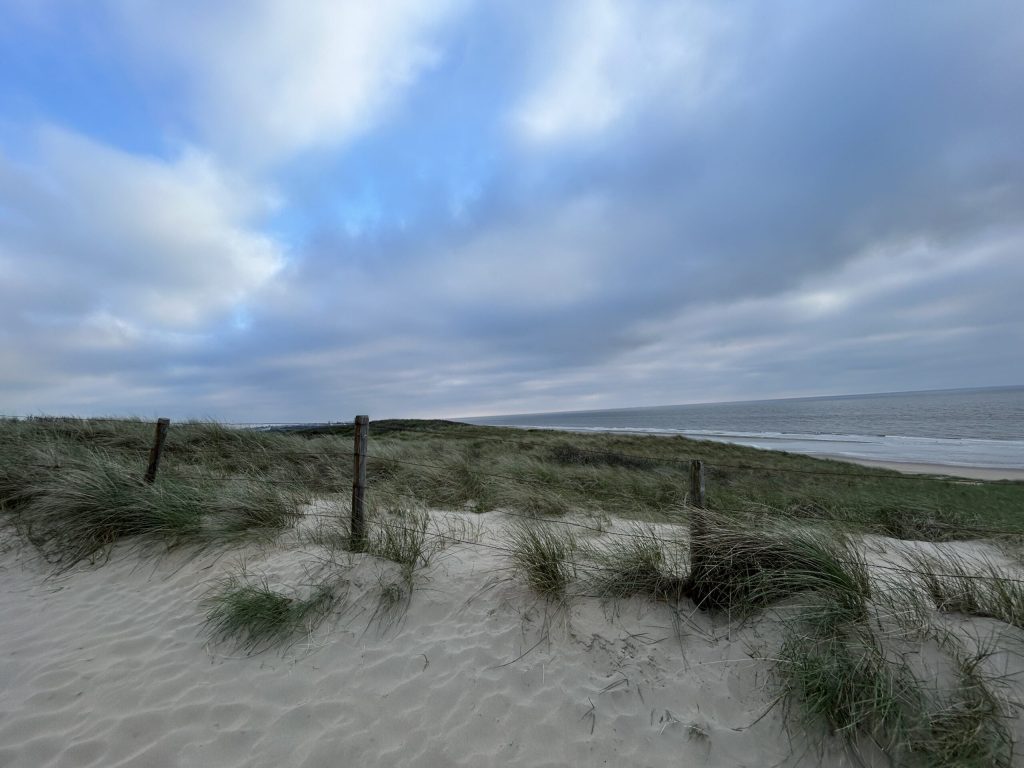 img 2638 1 scaled.jpg