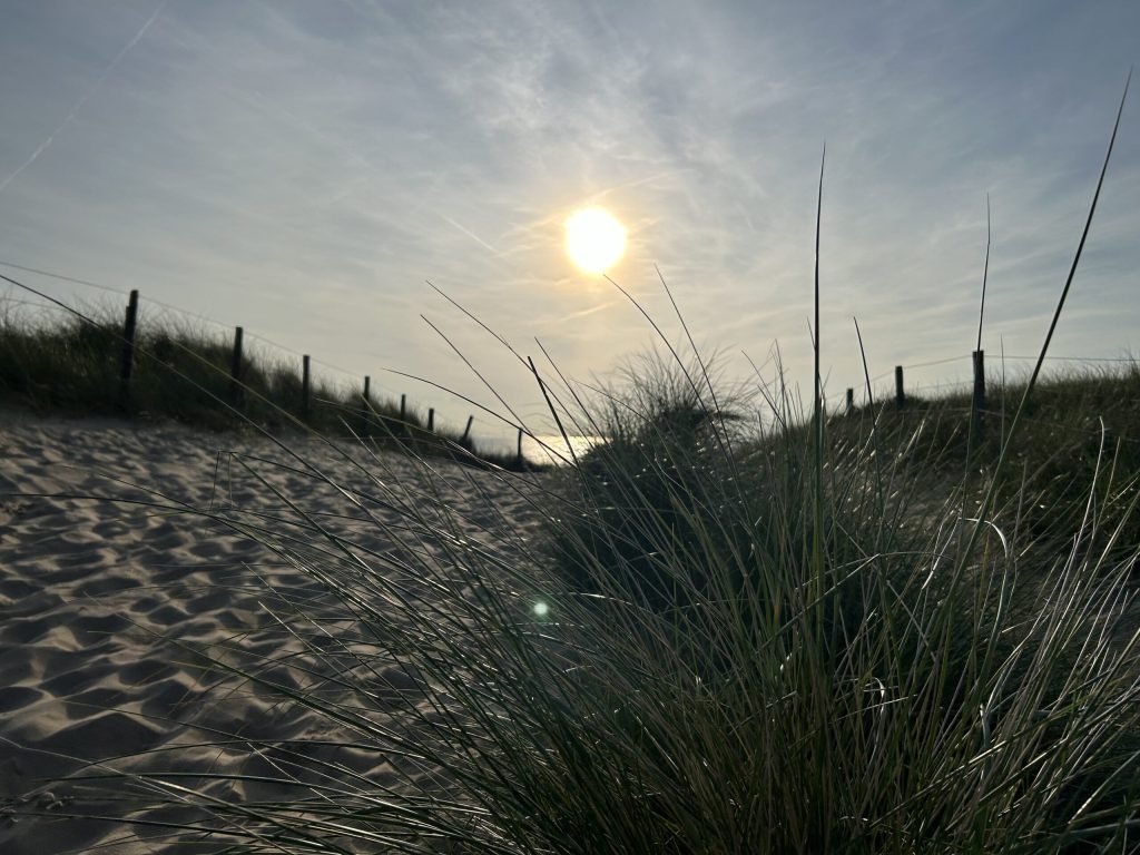 img 2665 1 scaled.jpg