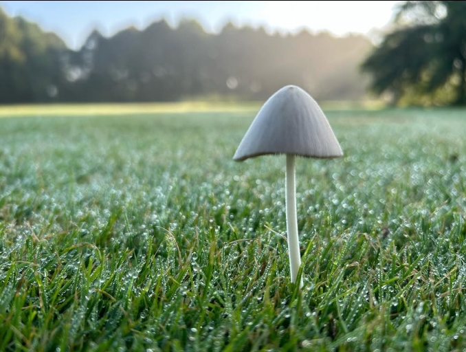 schermopname 24 10 2025 125355 www.instagram.com